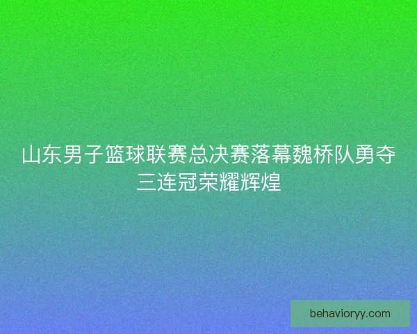 山东男子篮球联赛总决赛落幕魏桥队勇夺三连冠荣耀辉煌